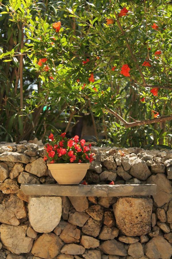 Apartments Nejasmic - Little House For Peaceful And Domestic Vacation Bol Exterior photo
